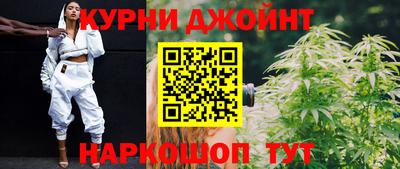 индика Донской