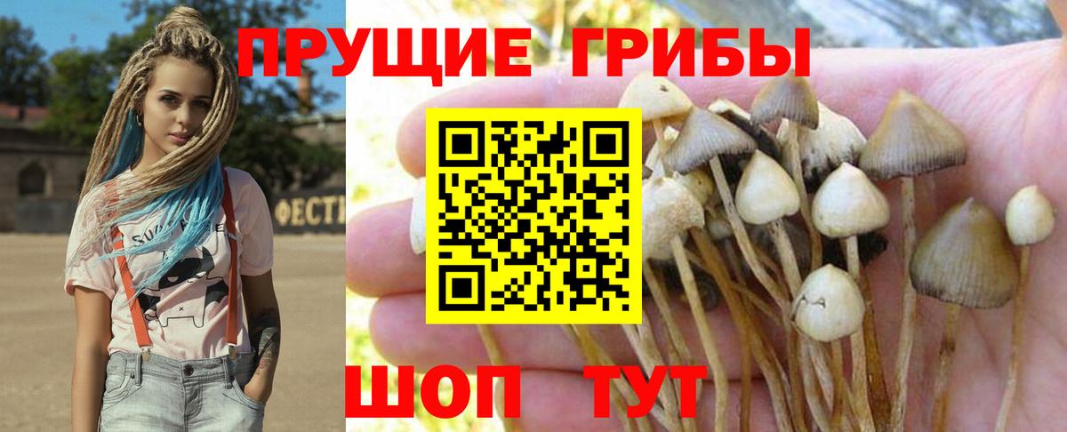Галлюциногенные грибы мицелий  Псилоцибиновые грибы ЛСД  Мурино  Вход с VPN 